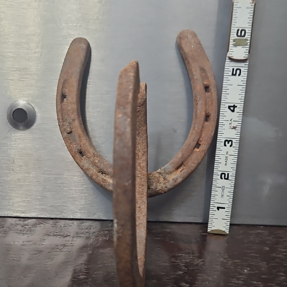 Rustic Horseshoe Hook Or Wall Art